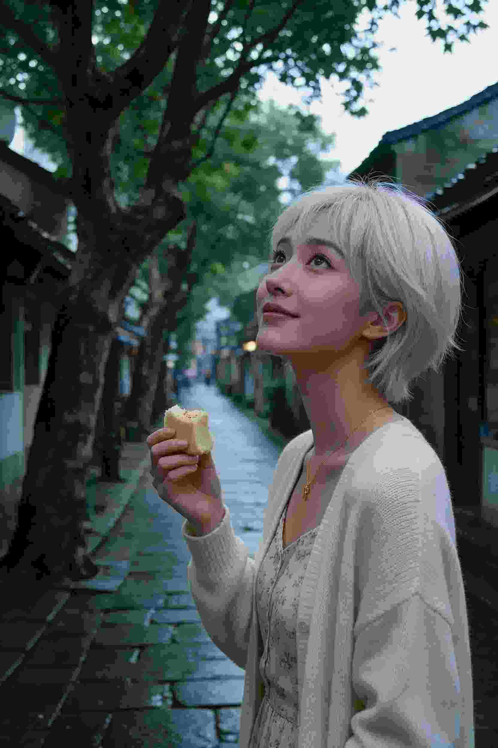 蓝天梦想